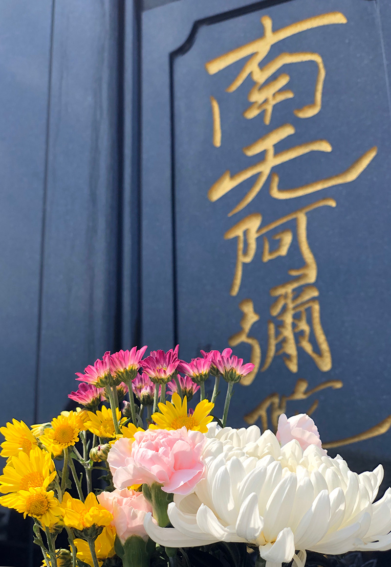 法善寺永代供養墓「みどりの苑」の特徴